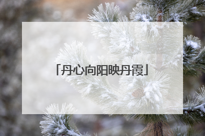 丹心向阳映丹霞